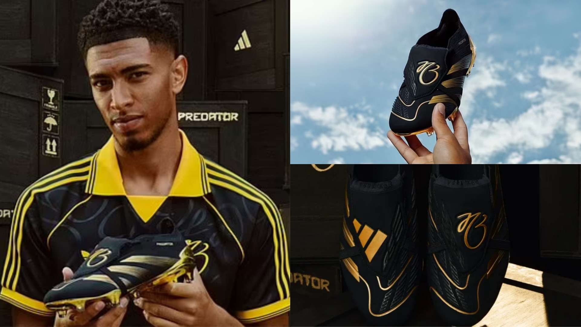 从未能在预 从未能在预